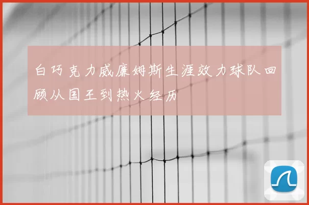 白巧克力威廉姆斯生涯效力球队回顾从国王到热火经历