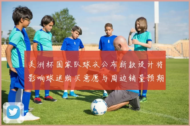美洲杯国家队球衣公布新款设计将影响球迷购买意愿与周边销量预期
