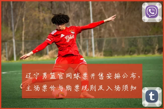 辽宁男篮官网球票开售安排公布，主场票价与购票规则及入场须知