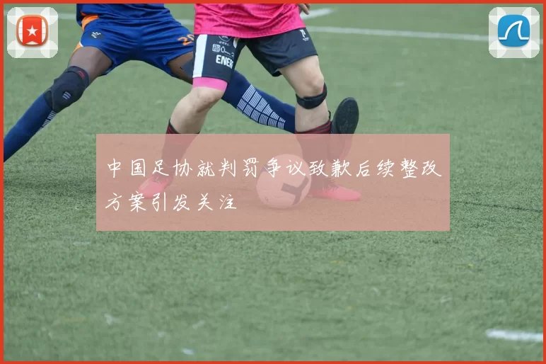 中国足协就判罚争议致歉后续整改方案引发关注