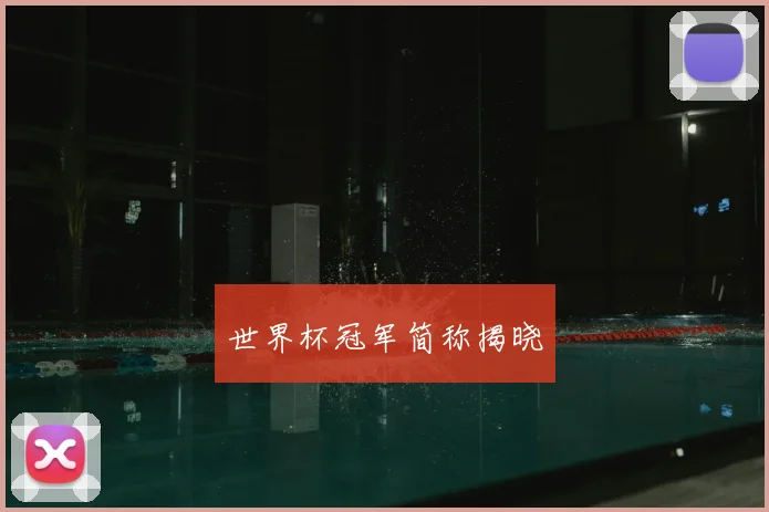 世界杯冠军简称揭晓