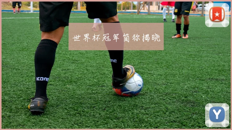 世界杯冠军简称揭晓