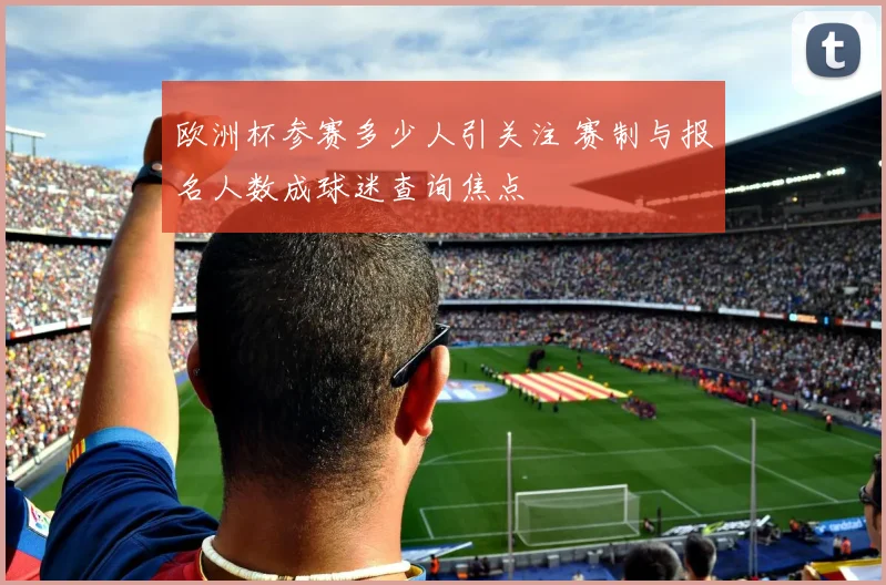 欧洲杯参赛多少人引关注 赛制与报名人数成球迷查询焦点
