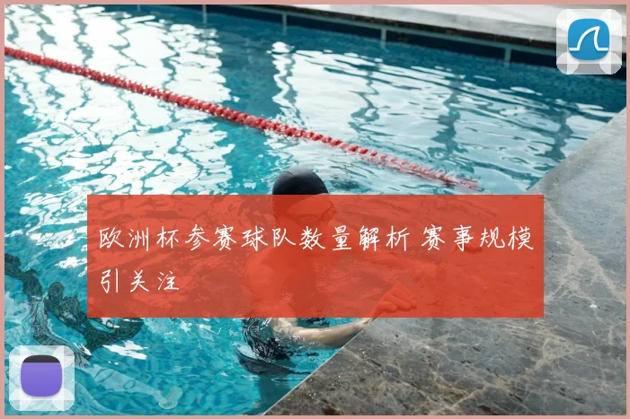 欧洲杯参赛球队数量解析 赛事规模引关注