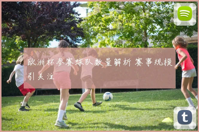 欧洲杯参赛球队数量解析 赛事规模引关注